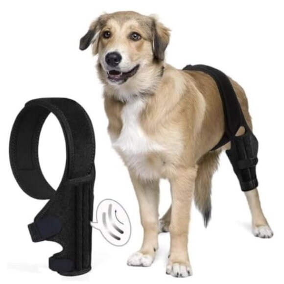 PAWFUN Dog Knee Brace for Torn ACL Adjustable Leg Support for Hip Dysplasia - Picture 2 of 12